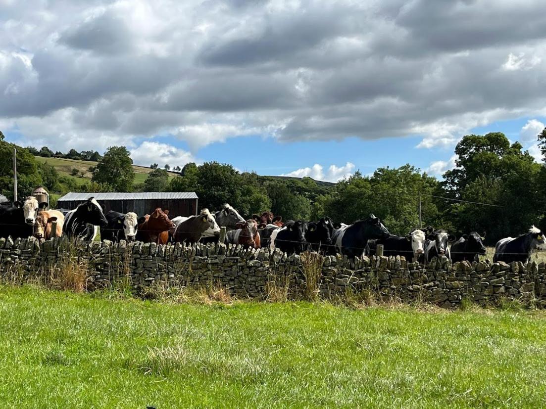Riding House Farm Cottages كاسلتون المظهر الخارجي الصورة